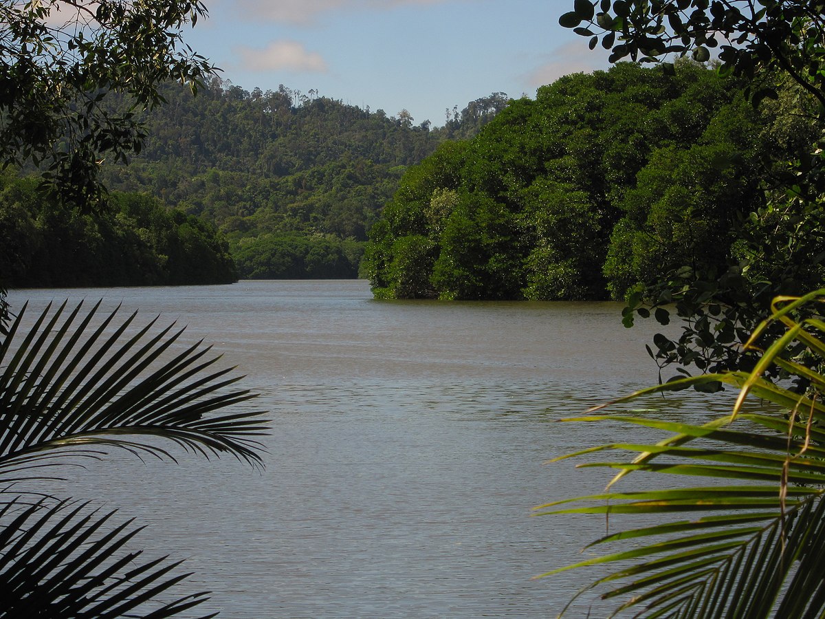 Sungai Brunei - Wikipedia bahasa Indonesia, ensiklopedia bebas