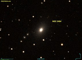 NGC 2484 DSS.jpg