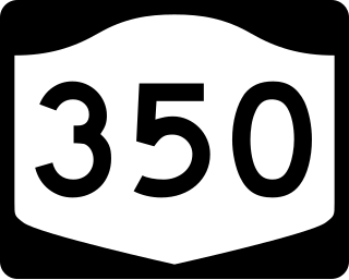 <span class="mw-page-title-main">New York State Route 350</span> State highway in Wayne County, New York, US