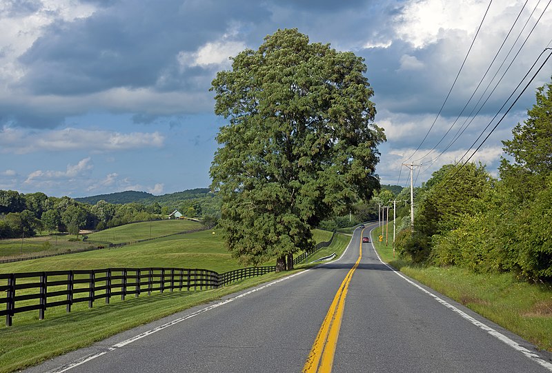 File:NY 199 E of Hammertown 2014.jpg