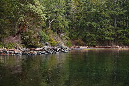 Nanoose Bay hike