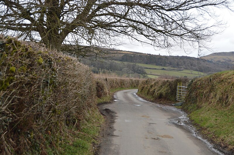 File:National Network Cycle Route 274 to Meavy - geograph.org.uk - 5818866.jpg