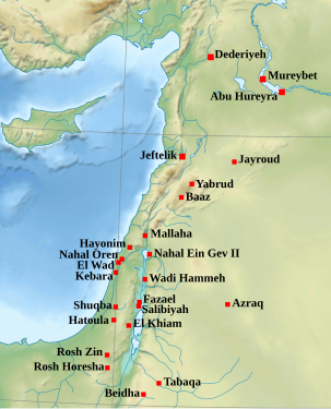 Débuts De L'agriculture Au Proche-Orient