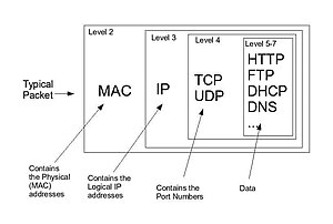 Computer Network