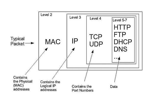 Network Packet