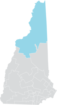 New Hampshire Senat Distrik 1 (2010).png