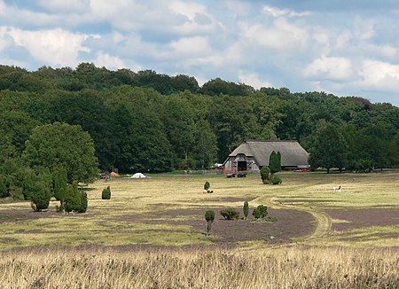 Niederhaverbeck Schafstall VNP