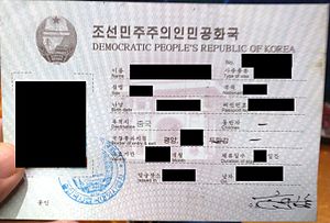 Shimoliy korea-working-visa-cropped.jpg