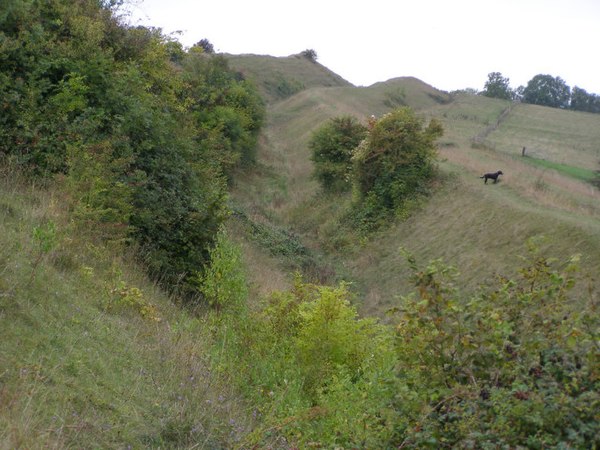 A view of the northern side of Hod Hill with the inner rampart on the left, the ditch in the middle and the outer rampart on the right.