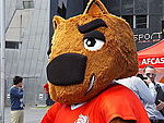 Nutmeg the Mascot.JPG