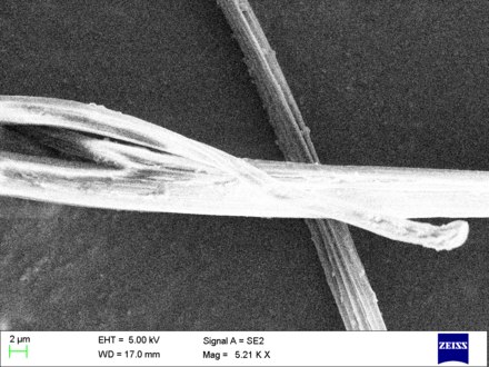 Nylon fibers visualized using scanning electron microscopy