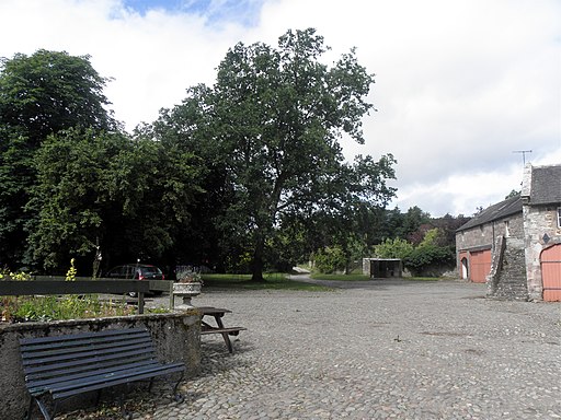 Oak Tree at the rear of Dalemain House - geograph.org.uk - 1978191