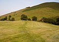 Moel Gyw