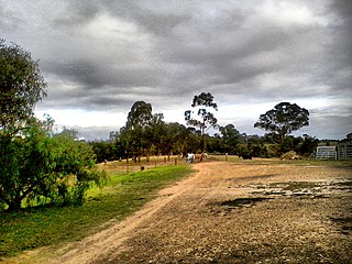 <span class="mw-page-title-main">Cottles Bridge, Victoria</span> Town in Victoria, Australia