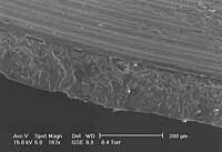 Close-up of ozone crack (using ESEM) in NBR diaphragm seal Ozonecr3.jpg