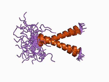 Glycophorin