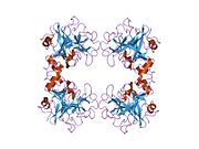 PDB 1lto EBI.jpg