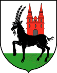 Wappen von Wieruszów