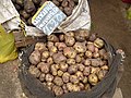 Vignette pour Secteur de la pomme de terre au Pérou