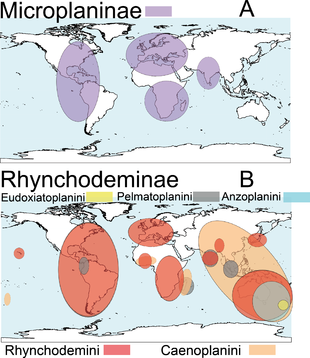 Peerj-430-fig-2 Mappa di distribuzione terrestrial flatworms.png