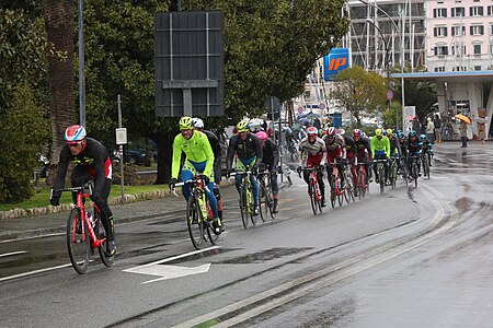 Peloton, Milan-Sanremo 2015.jpg