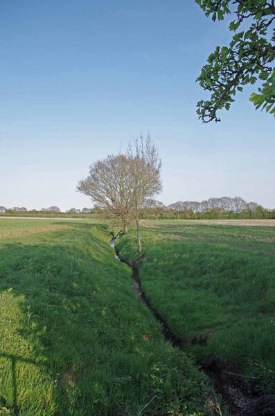 File:Penny's Brook - geograph.org.uk - 3452463.jpg