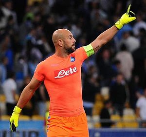 Pepe Reina: Karriere, Erfolge, Sonstiges