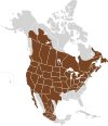Peromyscus maniculatus map.svg