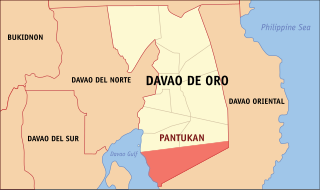 <span class="mw-page-title-main">Pantukan</span> Municipality in Davao de Oro, Philippines