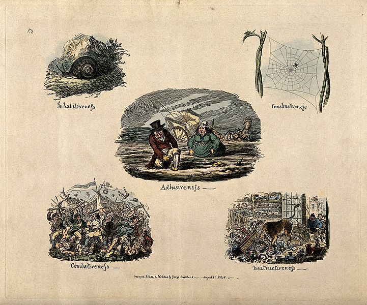 File:Phrenological propensities; adhesiveness, inhabitiveness, co Wellcome V0011112.jpg