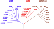 Miniatura per Fitxer:Phylogenetic tree-zh-hant.svg