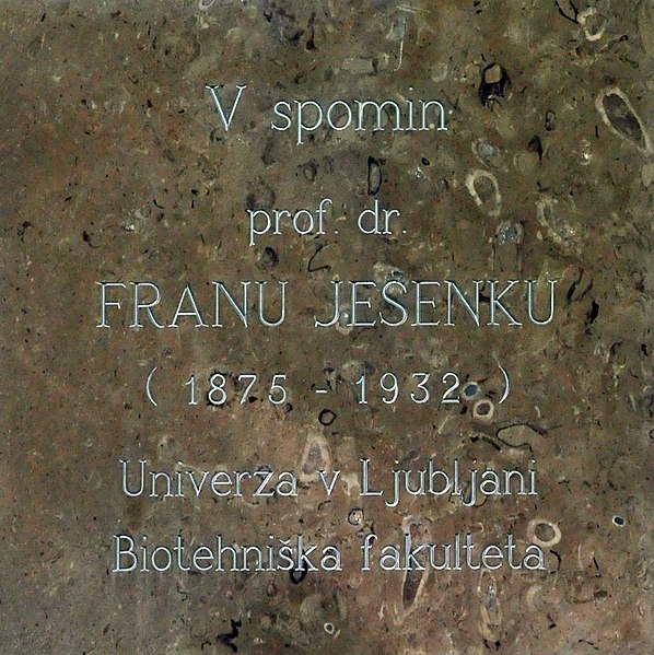 File:Plaque for Fran Jesenko (1875-1932).jpg
