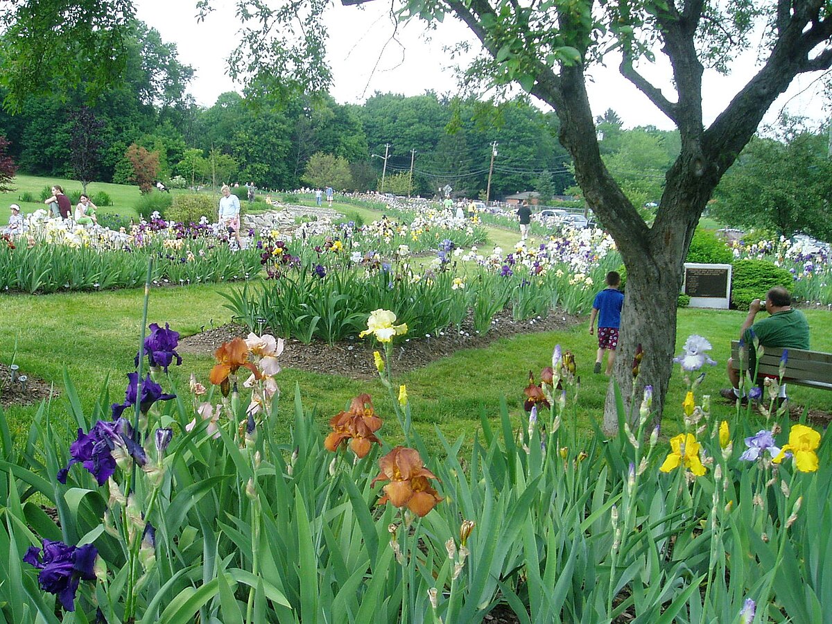 Presby Memorial Iris Gardens Wikipedia