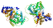 Thumbnail for Carnitine O-acetyltransferase