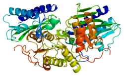 Ақуыз IMPA1 PDB 1awb.png