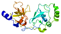 Protein SCMH1 PDB 2p0k.png