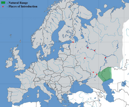 Előfordulási területe (a zöld az eredeti; a vörös ahová betelepítették)