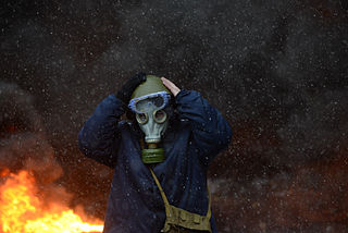 Protester wearing a tear gas mask against background of the massive fire set by protesters to prevent internal forces from crossing the barricade line. Kyiv, Ukraine. Jan 22, 2014.jpg
