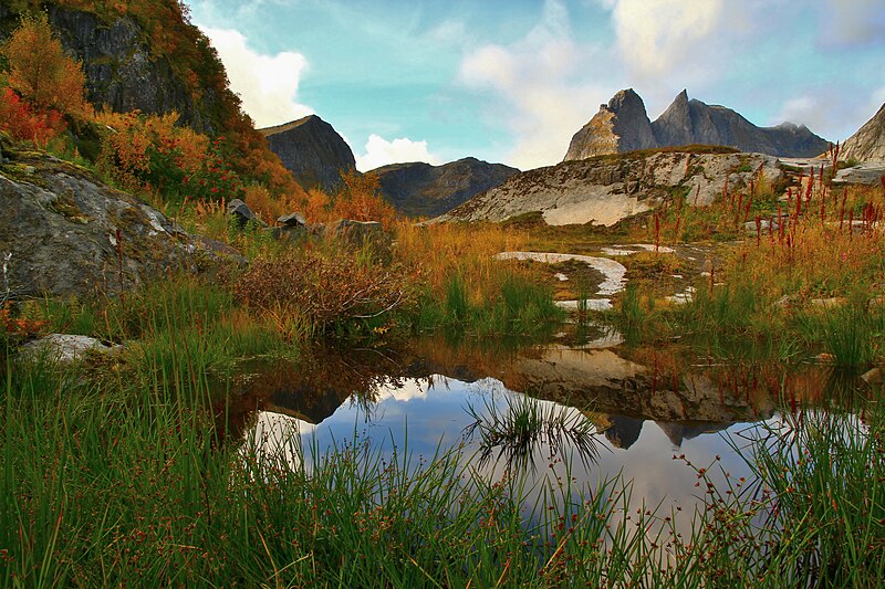 File:Puddle at Djupfjorden, 2009 09.JPG