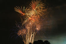 Pyromusical show. Pyromusical Show during Palarong Pambansa 2015 Opening Ceremony.jpg