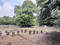 Thumbnail for File:Quaker graveyard in Ballitore, County Kildare, Ireland 1.jpg