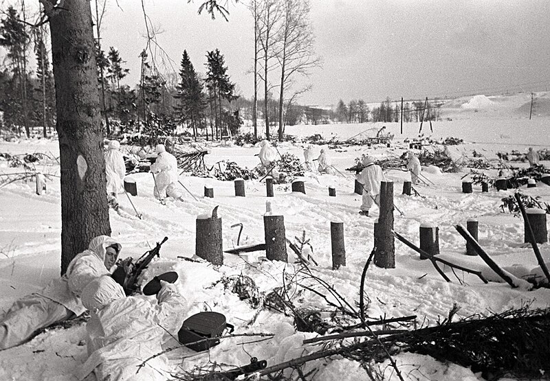 File:RIAN archive 284 The war in winter.jpg