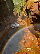 Rainbow Hatchery (6597694951)