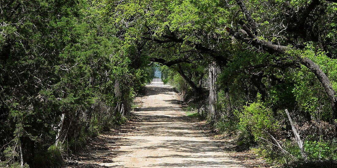 File:Ranch road in southern Edwards County, Texas, USA (18 April 2015).jpg