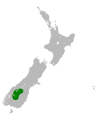 Range of Ranunculus pachyrrhizus