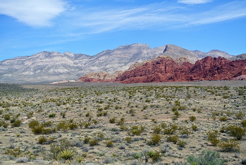 Red Rock Canyon National Conservation Area - Wikipedia