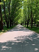 Riverside Cemetery (Yarmouth, Maine)