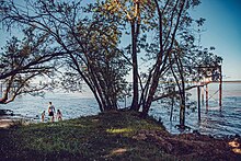 Rives de l'estuaire de la Gironde.jpg