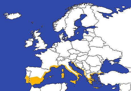 Самая южная европейская страна. Южная Европа. Южная Европа на карте. Юг Европы. Страны Южной Европы.