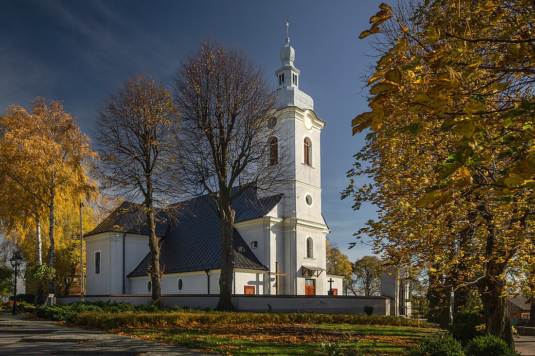 Pawłowiczki (munisipyo)